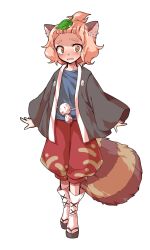 1girl alphes_(style) animal_ears black_kimono black_sandals blue_shirt blush commentary_request dairi full_body japanese_clothes kimono large_variant_set leaf leaf_on_head long_sleeves looking_at_viewer okobo open_clothes open_kimono open_mouth orange_eyes orange_hair parody platform_sandals raccoon_ears raccoon_girl raccoon_tail red_shorts sandals shirt short_hair shorts socks solo standing style_parody tabi tachi-e tail tanuki_mob_(touhou) tears thick_eyebrows touhou transparent_background variant_set white_socks wide_sleeves