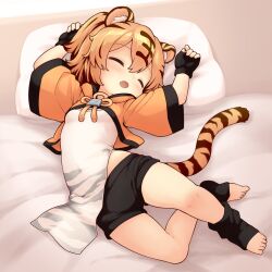 1girl absurdres animal_ears azur_lane black_gloves black_shorts breasts closed_eyes commentary_request fang fingerless_gloves full_body gloves highres hu_pen_(azur_lane) long_sleeves lying open_mouth pelvic_curtain pillow shoboimu short_shorts shorts skin_fang sleeping small_breasts solo tail tiger_ears tiger_girl tiger_tail toes