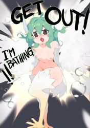 1girl ahoge angry birb_(niniidawns) bird_legs bird_tail black_eyes blush braid breasts chicken_girl commentary english_commentary english_text feathered_wings feathers green_hair hair_between_eyes harpy head_wings highres long_hair monster_girl navel niniidawns nipples nude open_mouth original small_breasts tail wavy_eyes wet white_feathers white_wings wide_hips wing_ears winged_arms wings