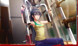 Rule 34 | 1girl, black hair, blue pants, cinderella series, dutch angle, exercising, game cg, hachigatsu no cinderella nine, hair between eyes, highres, indoors, long hair, non-web source, official alternate hairstyle, official art, open mouth, pants, ponytail, red eyes, shinonome ryo, sitting, solo, sweat, tank top, track suit, two-tone tank top, v-shaped eyebrows, very long hair, water drop, window, wooden floor