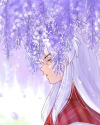 Rule 34 | 1boy, artist name, blue flower, blue petals, blurry, blurry background, falling petals, flower, hair between eyes, highres, inuyasha, inuyasha (character), japanese clothes, long hair, male focus, moonlichi, parted lips, petals, profile, red shirt, shirt, sidelocks, solo, upper body, white hair, wisteria, yellow eyes