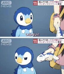 Rule 34 | 1girl, animal, arc draws, black shirt, closed mouth, dawn (pokemon), feeding, fish, gen 4 pokemon, gen 7 pokemon, highres, holding, holding animal, holding fish, nintendo, photo-referenced, pink skirt, piplup, pokemon, pokemon (creature), pokemon dppt, poketch, shirt, skirt, subtitled, translation request, twitter username, uninterested, watch, wishiwashi, wishiwashi (solo), wristwatch, yellow bag