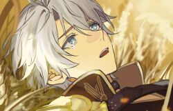 Rule 34 | 1boy, antenna hair, armor, black choker, black shirt, blue eyes, choker, commentary, crying, crying with eyes open, highres, honkai: star rail, honkai (series), lying, male focus, on back, on ground, parted bangs, pauldrons, phainon (honkai: star rail), shirt, short hair, shoulder armor, single pauldron, solo, tears, waraam, wheat field, white hair