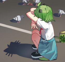 1girl ahoge bird black_horns black_shoes blue_sky bow bowtie cat_shadow_puppet check_copyright collared_shirt copyright_request covered_face crossed_arms day fingernails full_body green_hair high-waist_skirt highres horns jar kobutanori lizard_tail miniskirt original outdoors photo-referenced pickle pigeon pleated_skirt red_bow red_bowtie road shadow shirt shoes short_hair short_sleeves skirt sky small_horns sneakers solo squatting street tail white_shirt