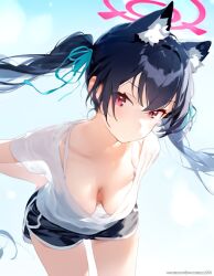 Rule 34 | 1girl, animal ears, artist request, black shorts, blue archive, blue hair, blue ribbon, breasts, cat ears, cleavage, female focus, gradient background, halo, looking at viewer, lowres, pink halo, red eyes, ribbon, see-through cleavage, see-through clothes, serika (blue archive), shorts, simple background, solo, twintails