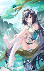 1girl absurdres aqua_bird aqua_sleeves bare_shoulders bird bird_hair_ornament black_footwear black_hair blush breasts chinese_commentary collarbone commentary_request day detached_sleeves fingernails genshin_impact hair_between_eyes hair_ornament hairband high_heels highres in_tree jndfh lan_yan_(genshin_impact) large_breasts large_variant_set long_hair looking_at_viewer outdoors parted_lips pixiv_logo pixiv_username purple_eyes sitting sitting_in_tree sitting_on_branch solo tree variant_set very_long_hair white_hairband
