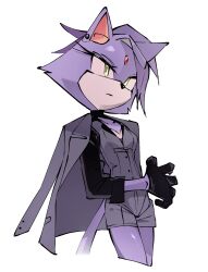 1girl absurdres alternate_costume animal_ears black_gloves black_sleeves blaze_the_cat breasts cat_ears cat_girl cat_tail cleavage eyelashes forehead_jewel furry furry_female gloves grey_jacket grey_shirt grey_shorts guin_(imarealpenguin) highres jacket purple_fur shirt shorts simple_background small_breasts solo sonic_(series) standing tail white_background yellow_eyes