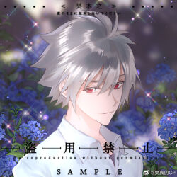 1boy artist_name blue_flower blurry blurry_background chinese_commentary closed_mouth collared_shirt commission flower grey_hair hair_between_eyes haoriday hydrangea leaf light_smile looking_at_viewer male_focus nagisa_kaworu neon_genesis_evangelion red_eyes sample_watermark shirt short_hair smile solo sparkle upper_body watermark weibo_watermark white_hair white_shirt