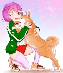 1girl ;d animal brown_eyes brown_shoes buruma copyright_request dog green_jacket gym_shirt heel_up highres jacket long_sleeves one_eye_closed open_clothes open_jacket open_mouth purple_hair purple_thighhighs red_buruma shiba_inu shirt shoes short_hair smile sneakers teruki_kuma thighhighs track_jacket white_shirt