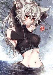 1girl alternate_hair_length alternate_hairstyle animal_ear_fluff animal_ears black_bridal_gauntlets black_shorts black_sports_bra blush breasts bridal_gauntlets closed_mouth grey_hair highres inubashiri_momiji long_hair looking_afar medium_breasts midriff navel partially_submerged plant red_eyes shorts smile solo soukou_(artist) sports_bra tail touhou tying_hair upper_body water wolf_ears wolf_girl wolf_tail