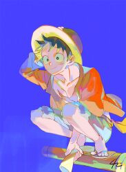 1boy black_hair blue_sky closed_mouth commentary_request hat holding korean_commentary male_focus monkey_d._luffy one_piece open_clothes open_shirt red_shirt sandals scar scar_on_chest scar_on_face senzzang shirt short_hair sky smile solo squatting straw_hat