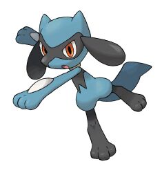 :o full_body gen_4_pokemon highres nintendo official_art open_mouth pokemon pokemon_(creature) pokemon_dppt pokemon_focus red_eyes riolu solo standing standing_on_one_leg sugimori_ken third-party_source transparent_background