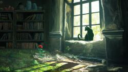 Rule 34 | abandoned, animal, black cat, book, bookshelf, cat, chinese commentary, commentary request, day, flower, highres, indoors, no humans, original, overgrown, red flower, red rose, rose, sunlight, window, window shadow, zaq (pgvc4472)