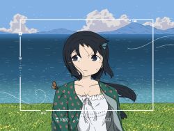 1girl black_eyes black_hair blue_sky bug butterfly butterfly_on_head butterfly_on_shoulder chito_(shoujo_shuumatsu_ryokou) closed_mouth cloud cloudy_sky dress dress_ribbon grass green_jacket hill insect jacket light_particles long_hair looking_to_the_side ocean outdoors parisetya ponytail ribbon shoujo_shuumatsu_ryokou sky solo upper_body viewfinder water white_dress white_ribbon wind