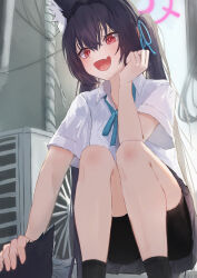 1girl animal_ear_fluff animal_ears black_hair black_skirt blue_archive blue_ribbon blush cat cat_ears cat_girl fang fujiwara_haru_(nekonote) hair_between_eyes hair_ribbon halo highres long_hair looking_at_animal open_mouth petting red_eyes ribbon school_uniform serika_(blue_archive) shirt short_sleeves shorts shorts_under_skirt sidelocks skin_fang skirt solo squatting twintails white_shirt