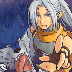 Rule 34 | 1boy, ayachi, blue eyes, brown gloves, commentary request, crop top, curtained hair, dated commentary, fingerless gloves, gloves, grey hair, grey shirt, high ponytail, index finger raised, long hair, looking at viewer, lower teeth only, lowres, male focus, midriff, navel, open mouth, pointy ears, ponytail, purple background, ragnarok online, ranger (ragnarok online), scarf, shirt, sleeveless, sleeveless shirt, solo, teeth, upper body, wolf, yellow scarf