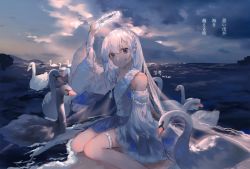 1girl arm_up artist_name bandage_on_face bandages bangle beach bird blue_eyes bracelet braid bridal_gauntlets chinese_commentary cloud cloudy_sky commentary commentary_request dated detached_sleeves earrings expressionless feet_out_of_frame female_focus french_braid hair_between_eyes halo head_tilt highres horizon jewelry ling_mou long_hair mountain original outdoors pointy_ears sash shirt silver_hair sitting sky solo strapless strapless_shirt swan symbol-only_commentary thigh_strap translation_request twilight wariza water wide_sleeves