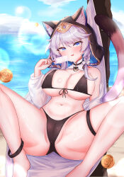 1girl absurdres animal_ear_fluff animal_ears barefoot beach bikini black_bikini blue_eyes blue_sky breasts cameltoe cat_ears cat_girl cat_tail cipher_(honkai:_star_rail) coin commentary_request covered_erect_nipples feet_out_of_frame food gold_coin grey_hair highres holding holding_food holding_popsicle honkai:_star_rail honkai_(series) korean_commentary large_breasts m_legs min1910 navel ocean outdoors popsicle short_hair sky solo spread_legs stomach swimsuit tail wet