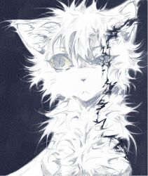 Rule 34 | :&lt;, animal, animal focus, blue eyes, cat, highres, no humans, portrait, scar, scar on chest, scar on face, simple background, snowtuft, warrior cats, white cat, white fur, wxlfpatch