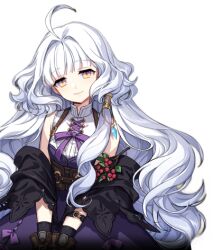 1girl breasts grey_hair long_hair lowres mabinogi non-web_source official_art rowan_(mabinogi) small_breasts