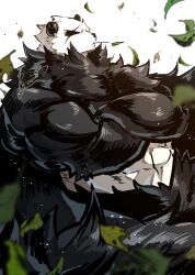 Rule 34 | 1other, abs, absurdres, biceps, black fur, commentary, crossed arms, gen 6 pokemon, highres, leaf, looking to the side, mouth hold, multicolored fur, muscular, nintendo, pangoro, pectorals, pokemon, pokemon (creature), ryeono kemo, signature, stalk in mouth, symbol-only commentary, white fur