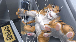 1boy :q abs animal_ears bara beige_fur completely_nude cum cum_on_body cum_on_male cum_on_pectorals erection excessive_cum facial_hair foot_out_of_frame foreshortening furry furry_male goatee grin highres large_pectorals licking_lips live_a_hero looking_at_viewer male_focus male_pubic_hair mature_male muscular muscular_male navel nipples no_mask nude orange_fur pectorals penis pubic_hair ryekie_(live_a_hero) short_hair skarltano smile solo stomach tail thick_eyebrows tiger_boy tiger_ears tiger_tail tongue tongue_out uncensored