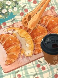 Rule 34 | absurdres, animal, cat, chopsticks, commentary request, croissant, cup, disposable coffee cup, disposable cup, flower, food, highres, no humans, oimo imoo, orange cat, original, white flower