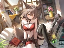 1girl ahoge animal_ear_fluff animal_ears backpack bag bandeau bare_arms bare_shoulders bed belt black_choker black_thighhighs breasts brown_gloves brown_hair chest_harness choker cleavage closed_mouth gloves harness highres indoors knee_up large_breasts long_hair looking_at_viewer midriff multicolored_hair navel no_shoes on_bed orange_eyes original pillow red_bandeau red_shorts short_shorts shorts sitting smile solo strapless streaked_hair superpig tail thigh_belt thigh_strap thighhighs torn_clothes torn_shorts tube_top wolf_ears wolf_girl wolf_tail