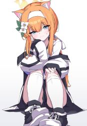 1girl absurdres animal_ear_fluff animal_ears black_jacket blue_archive blue_eyes cat_ears commentary flower full_body gym_shorts hair_between_eyes hair_flower hair_ornament hair_ribbon hairband halo hand_on_own_cheek hand_on_own_face hand_on_own_knee highres jacket kneehighs knees_up light_smile long_hair looking_at_viewer mari_(blue_archive) mari_(track)_(blue_archive) multicolored_jacket off_shoulder official_alternate_costume open_clothes open_jacket orange_hair orange_halo ribbon shadow shirt shoes shorts sidelocks sitting sneakers socks solo sweatdrop t-shirt tah_noey track_jacket two-tone_jacket white_background white_flower white_hairband white_jacket white_ribbon white_shirt white_socks