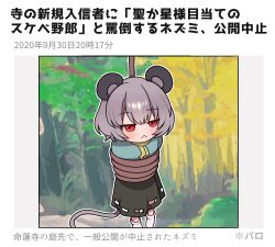 1girl animal_ears black_skirt blush bound closed_mouth gnwcq grey_hair long_sleeves looking_at_viewer mouse_ears mouse_tail nazrin outdoors red_eyes skirt socks solo tail tied_up_(nonsexual) touhou translation_request tree white_socks