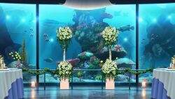 aquarium bass_(fish) bouquet candle column coral fish floor_light flower garland_(decoration) highres indoors no_humans non-web_source official_art our_life our_life:_beginnings_and_always pillar plate podium poppy_(flower) railing rock scenery seaweed sergeant_(fish) sparkle starfish table tablecloth variant_set whale_shark white_flower