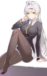 Rule 34 | 1girl, ahoge, black pantyhose, black shirt, blue flower, breasts, flower, flower on chest, foot out of frame, hair intakes, highres, large breasts, long hair, long sleeves, looking at viewer, official alternate costume, pantyhose, rikoma, shirt, simple background, sitting, solo, white background, white hair, yellow eyes, yixuan (trails of ink) (zenless zone zero), yixuan (zenless zone zero), zenless zone zero