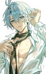 1boy antenna_hair black_necktie blue_eyes collared_shirt commentary_request highres honkai:_star_rail honkai_(series) long_sleeves looking_at_viewer male_focus necktie official_alternate_costume parted_bangs partially_unbuttoned pectoral_cleavage pectorals phainon_(anan)_(honkai:_star_rail) phainon_(honkai:_star_rail) see-through_clothes see-through_shirt seyanaso shirt short_hair simple_background solo upper_body wet wet_clothes wet_hair wet_shirt white_background white_hair white_shirt