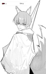 1boy absurdres animal_ears bbizim03 commentary e.g.o_(project_moon) english_commentary fox_boy fox_ears fox_tail from_behind greyscale highres hood korean_text limbus_company looking_back male_focus monochrome open_mouth partially_shaded_face project_moon raincoat simple_background smile solo sunshower_(e.g.o) tail umbrella wet yi_sang_(project_moon)