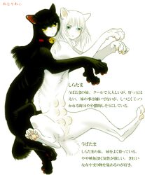 Rule 34 | 2girls, bell, black fur, black hair, blue eyes, cat, cat girl, closed mouth, collar, colored sclera, expressionless, hug, human head, isaki (shimesaba), long hair, monster girl, multiple girls, neck bell, original, pawpads, red collar, sphinx, spread legs, white background, white fur, white hair, yellow sclera