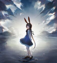 1girl absurdres amiya_(arknights) animal_ears arknights black_shoes blue_dress blue_eyes brown_hair cloud cloudy_sky dress highres jiuxiaoshi long_hair looking_at_viewer rabbit_ears rabbit_girl shoes short_sleeves sky solo standing water white_sleeves