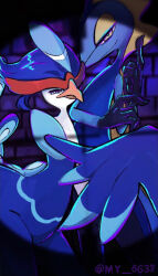 2others arm_up artist_name beak black_skin blue_eyes blue_fur blue_hair blue_skin blue_theme blue_wings body_fur brick_wall bright_pupils closed_mouth colored_skin creatures_(company) crosshair feathered_wings fins furry game_freak gen_8_pokemon half-closed_eyes hands_up head_fins index_finger_raised inteleon looking_at_viewer multicolored_skin multiple_others my_(my_6633) nintendo other_focus pokemon pokemon_(creature) quaquaval short_hair signature twitter_username two-tone_fur white_fur white_pupils winged_arms wings yellow_eyes