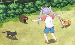 Rule 34 | 1girl, anime coloring, antenna hair, bush, cat, dog, female focus, from behind, grass, gu (non non biyori), hair ribbon, hashi, jurassic park, jurassic world, long hair, meme, miyauchi renge, non non biyori, outdoors, outstretched arms, parody, pechi (non non biyori), prattkeeping (meme), purple hair, raglan sleeves, ribbon, shadow, shirt, shoes, short sleeves, shorts, socks, solo, spread arms, standing, tanuki, twintails, white socks