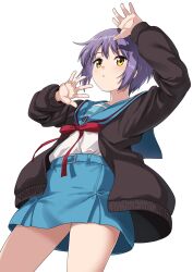 Rule 34 | 1girl, blue sailor collar, blue skirt, brown cardigan, cardigan, highres, kita high school uniform, long sleeves, nagato yuki, open cardigan, open clothes, pleated skirt, purple hair, red ribbon, ribbon, sailor collar, school uniform, serafuku, shirt, short hair, simple background, skirt, solo, standing, sutemeto, suzumiya haruhi no yuuutsu, thighs, white background, white shirt, winter uniform, yellow eyes