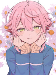 1boy :3 ahoge blazer blue_jacket c54chu0113 closed_mouth cowlick daisy_(flower) double-parted_bangs ensemble_stars! flipped_hair floral_background flower green_eyes half-closed_eyes happy highres himemiya_tori jacket layered_sleeves long_sleeves looking_ahead looking_at_viewer male_focus pink_hair school_uniform short_hair sidelocks sleeves_past_wrists straight-on sweater unfinished upper_body white_background white_flower yellow_sweater yumenosaki_school_uniform