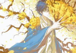 Rule 34 | 1boy, black hair, black robe, branch, closed mouth, e.g.o (project moon), falling petals, flower, folding fan, hanbok, hand fan, highres, holding, holding fan, korean clothes, limbus company, long sleeves, looking at viewer, male focus, petals, project moon, robe, short hair, solo, spicebush (e.g.o), technology liberation alliance (identity) (project moon), upper body, white background, white hanbok, wide sleeves, xiaorourose, yellow eyes, yellow flower, yellow petals, yi sang (project moon)