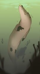 absurdres air_bubble ambulocetus_(animal) animal_focus bubble combos_&amp;_doodles highres no_humans original solo underwater