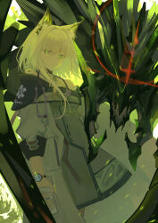 Rule 34 | 1girl, absurdres, animal ear fluff, animal ears, arknights, bare shoulders, bright pupils, commentary request, diamond-shaped pupils, diamond (shape), dress, green eyes, grey dress, hair between eyes, highres, kal&#039;tsit (arknights), kira guil, light particles, looking at viewer, material growth, mon3tr (arknights), mon3tr (summon) (arknights), off shoulder, oripathy lesion (arknights), parted lips, short hair with long locks, solo, standing, star of life, stethoscope, stethoscope around neck, symbol-shaped pupils, watch, white hair, wristwatch