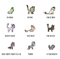 Rule 34 | black eyes, cat, claws, commentary request, espeon, espurr, from side, galarian form, galarian meowth, gen 1 pokemon, gen 2 pokemon, gen 3 pokemon, gen 4 pokemon, gen 5 pokemon, gen 6 pokemon, gen 7 pokemon, gen 8 pokemon, glameow, korean commentary, korean text, litten, majyo (witch poke), meowth, nintendo, no humans, pokemon, pokemon (creature), pokemon focus, purrloin, simple background, sitting, skitty, sprigatito, standing, translation request, white background