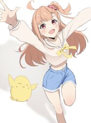 1girl :d ^_^ ahoge arms_up bird blue_shorts breasts chick closed_eyes commentary crop_top cropped_shirt feet_out_of_frame hair_ornament hair_scrunchie highres ikizulive!_love_live!_bluebird long_hair love_live! medium_breasts midriff navel one_side_up open_mouth orange_eyes orange_hair pink_scrunchie sailor_collar sailor_shirt scrunchie shirt short_shorts shorts simple_background smile solo takahashi_polka tomoe_(tomoe_200) white_background white_sailor_collar white_shirt