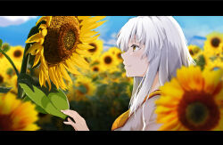 Rule 34 | 1girl, blurry, blurry background, breasts, brown eyes, commentary request, copyright request, field, flower, flower field, from side, highres, kiki (koikuchikinako), letterboxed, medium breasts, medium hair, portrait, solo, sunflower, sunflower field, white hair