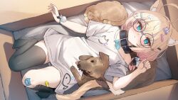 1girl :3 absurdres ahoge animal_ear_fluff animal_ears animal_print aqua_eyes asymmetrical_legwear bandaid bandaid_on_knee bandaid_on_leg bell belt_collar black_thighhighs blonde_hair blush box cardboard_box cat cat_ears cat_girl cat_print closed_mouth collar controller_hair_ornament dog fish_print glasses hair_ornament hairclip highres indie_virtual_youtuber jun_project looking_at_viewer low_twintails lying minikomew name_tag oversized_clothes oversized_shirt shirt soles solo_focus t-shirt thighhighs twintails waifuspite white_shirt