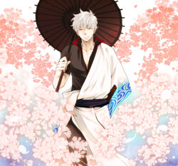 1boy belt black_belt black_shirt cherry_blossoms commentary commentary_request flower gintama hadanugi_dousa japanese_clothes kimono long_sleeves male_focus oil-paper_umbrella open_clothes open_kimono parasol sakata_gintoki shirt short_sleeves solo umbrella violetcoral white_hair wide_sleeves
