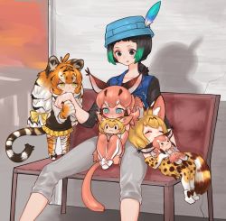 1boy 3girls ^_^ aged_down aged_up animal_ear_fluff animal_ears animal_hands animal_print bench biting black_shirt blouse blue_headwear caracal_(kemono_friends) character_doll closed_eyes doll hat_feather hugging_doll hugging_object kemono_friends kemono_friends_2 kyururu_(kemono_friends) low_ponytail mini_person minigirl multiple_girls notora ponytail serval_(kemono_friends) serval_tail shirt short_ponytail siberian_tiger_(kemono_friends) striped_tail tail thighhighs tiger_ears tiger_print tiger_tail