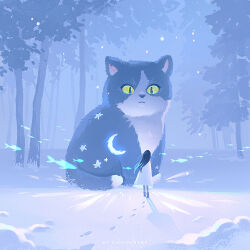 Rule 34 | 1girl, animal, artist name, black cat, black hair, blue theme, cat, colored sclera, commentary, crescent moon, dress, english commentary, facing away, fish, footprints, glowing, huhv., long hair, moon, original, outdoors, oversized animal, shadow, sky, snow, solo, standing, star (symbol), tree, white dress, wide shot, yellow sclera